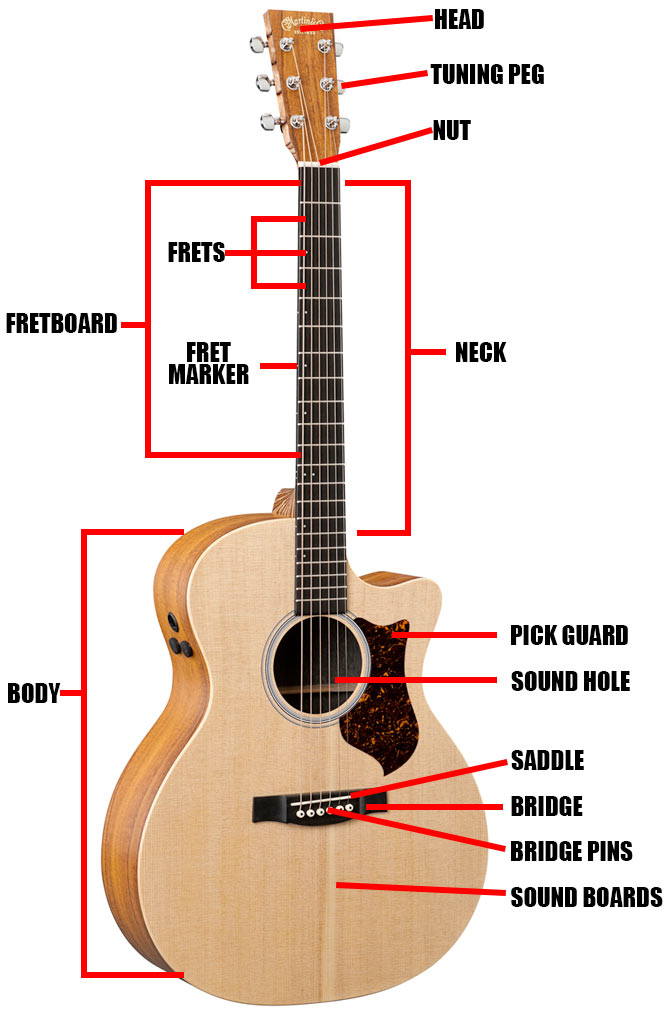 Acoustic Guitar Parts | Diagram | Definitions