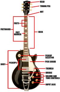 Electric Guitar Parts | Diagrams | Definitions